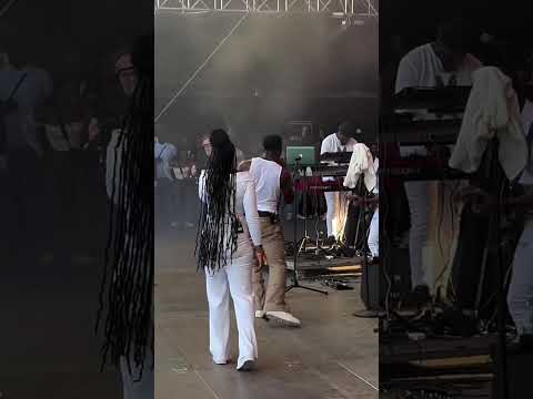 We had an incredible time at Summer Jam Festival 2024!! #Shorts #RomainVirgo #Reggae #Music #Europe