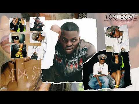 Uncle Waffles, Royal Musiq, Shoes Meister - Too Cool (Official Visualizer)