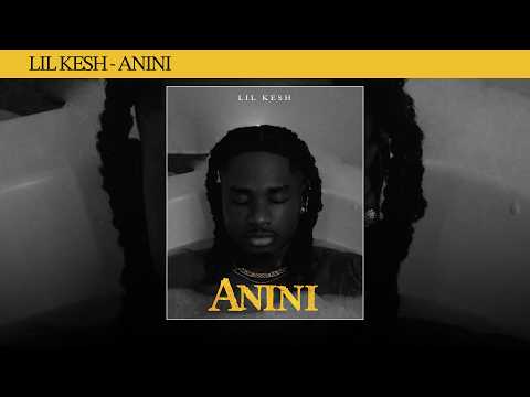 Lil Kesh -  Anini Thief (Audio Visualizer)
