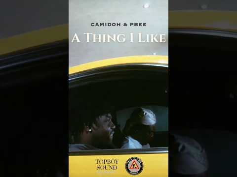 Camidoh - A Thing I Like (feat. PBee)[preview]
